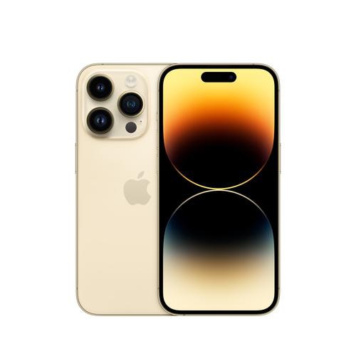 Apple iPhone 14 Pro 15.5 cm (6.1) Dual SIM iOS 16 5G 512 GB Gold