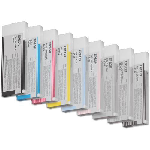 Epson Singlepack Photo Black T606100 220 ml