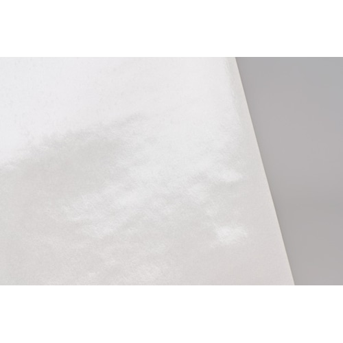 Neschen GUDY PP White 50000 x 1040 mm Polypropylene (PP)
