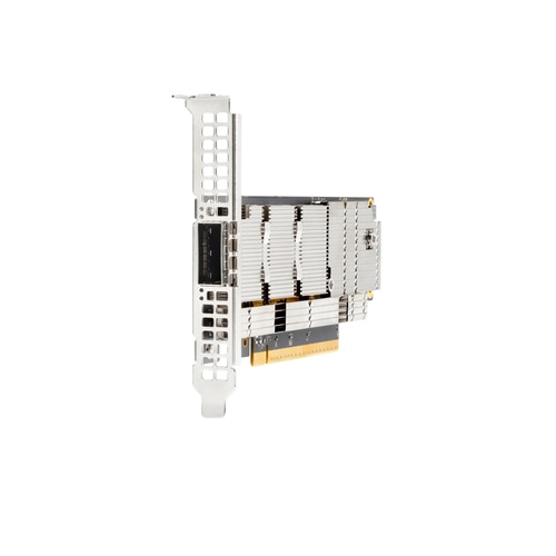 HPE P45641-B21 network card Internal