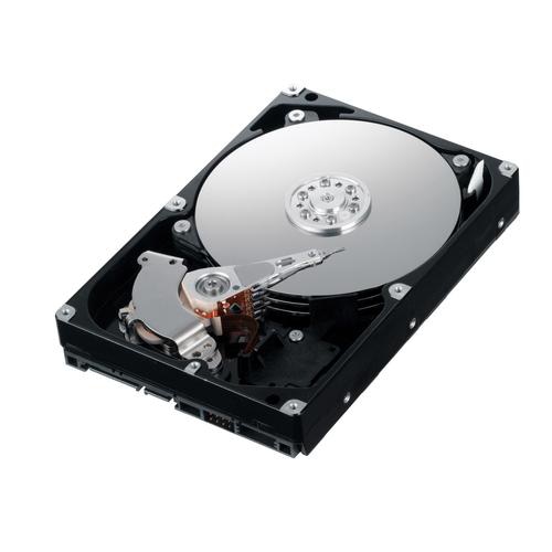 DELL 1TB 3.5 SATA 7200rpm 3.5 1000 GB Serial ATA II