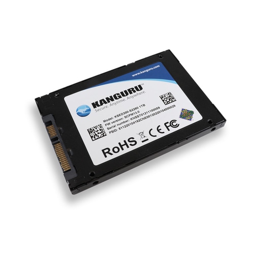 iStorage KSED300-SATA-2T external solid state drive 500 GB