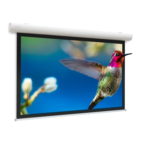 Da-Lite Elpro Concept projection screen 3.78 m (149) 16:9