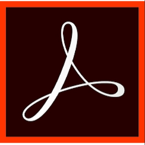 Adobe Standard 2017 Desktop publishing 1 license(s) English