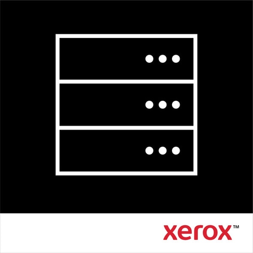 Xerox 256 MB Memory