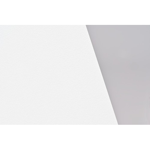 Neschen 6039449 adhesive cover film White 30000 x 1600 mm