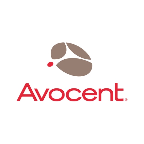Vertiv Avocent SCNT-1YGLD-A-100PK software license/upgrade Base 100 license(s)