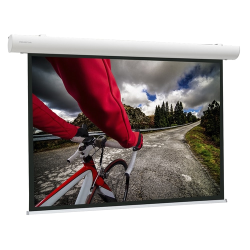 Da-Lite Elpro Concept projection screen 2.95 m (116) 16:10