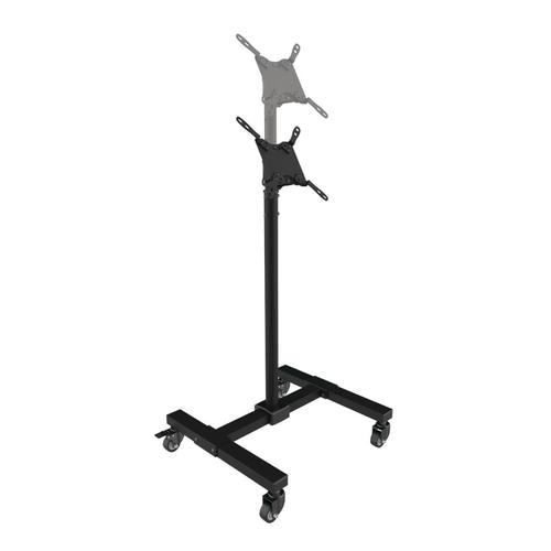 Tripp Lite DMC1342S Mobile TV Stand - Height Adjustable, 13 to 42 TVs and Monitors, Locking Casters, Black
