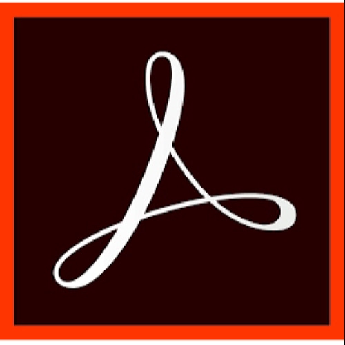 Adobe Acrobat Pro DC 1 license(s) License English 1 year(s) 12 month(s)
