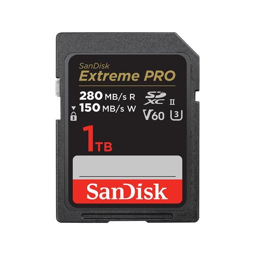 SanDisk SDSDXEP-1T00-GN4IN memory card 1000 GB SDXC UHS-II Class 10