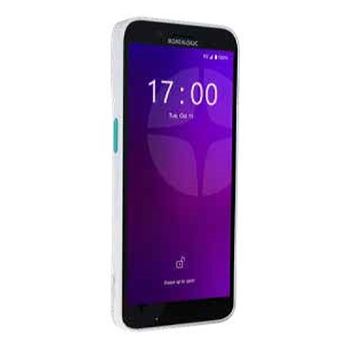 Datalogic Memor 17 handheld mobile computer 15.2 cm (6) Touchscreen 245 g White