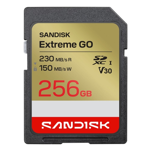 SanDisk Extreme GO 256 GB SDXC UHS-I