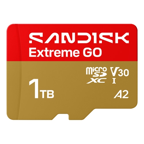 SanDisk Extreme GO 1 TB MicroSDXC UHS-I