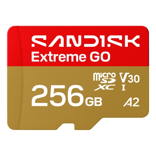 SanDisk Extreme GO 256 GB MicroSDXC UHS-I