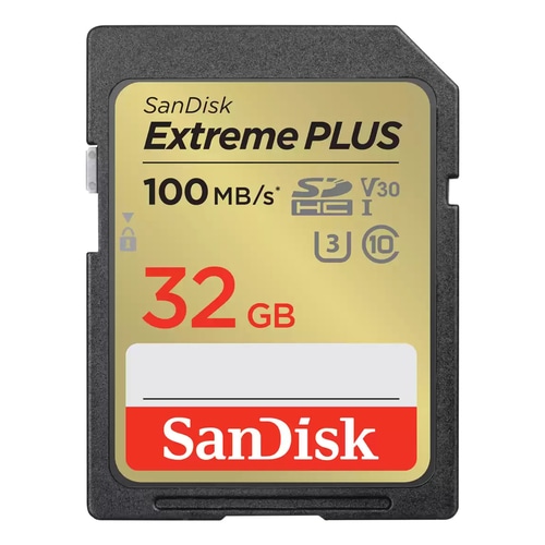 SanDisk SDSDXW2-064G-GNCIN 32 GB SDHC Class 10
