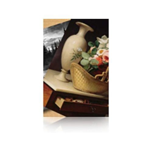 Epson Premium Luster Photo Paper, 60 x 30,5 m, 260g/m