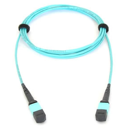 Allied Telesis AT-MTP12-1 fibre optic cable 1 m MTP