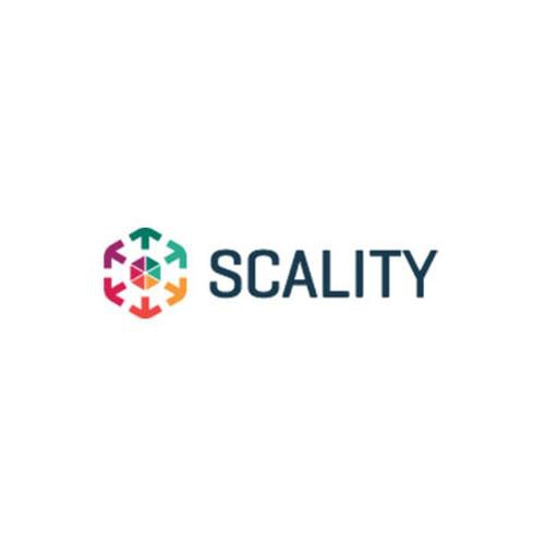 Hewlett Packard Enterprise Scality RING File Connectors NFS/CIFS E-LTU